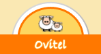 Ovitel